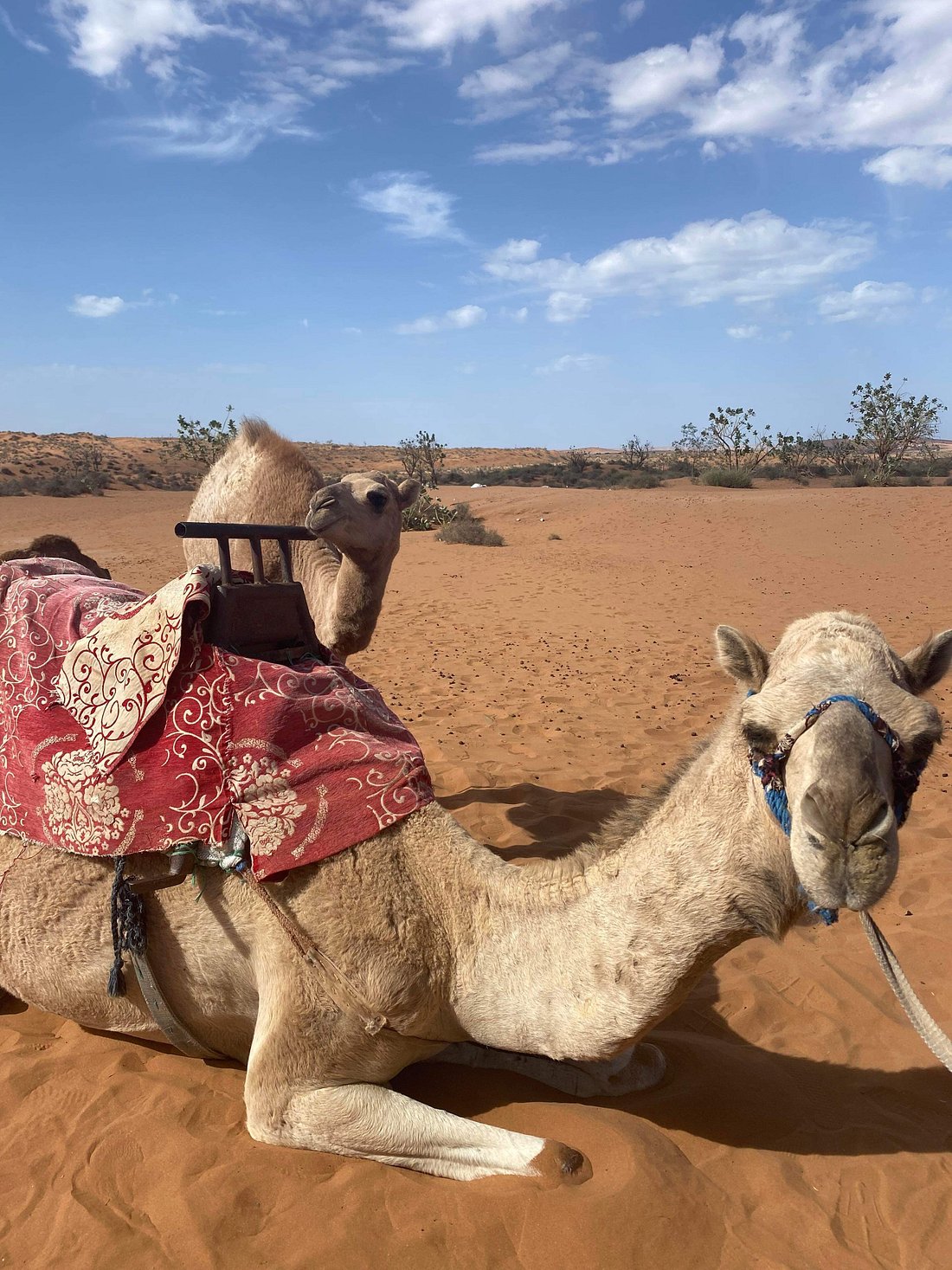Dabador - Excursion dans le désert d'El Borj au départ d'Agadir - 2 jours